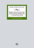 Derechos humanos, Estado de Derecho y Constitución (eBook, PDF)