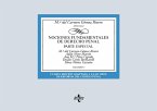 Nociones fundamentales de Derecho Penal (eBook, PDF)