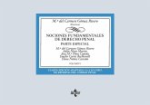 Nociones fundamentales de Derecho Penal (eBook, PDF)
