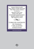 Curso de contrato de trabajo y relaciones colectivas (eBook, ePUB) Curso de contrato de trabajo y relaciones colectivas (eBook, ePUB)