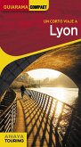 Lyon (eBook, PDF)