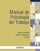 Manual de Psicología del Trabajo (eBook, ePUB)