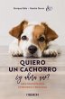 Quiero un cachorro, ¿y ahora qué?... - Bild 1