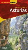Asturias (eBook, PDF)