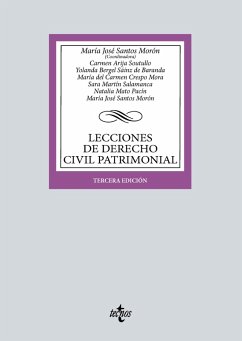 Cover Lecciones de Derecho Civil Patrimonial (eBook, ePUB)