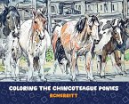 Coloring the Chincoteague Ponies
