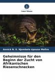 Geheimnisse für den Beginn der Zucht von Afrikanischen Riesenschnecken Geheimnisse für den Beginn der Zucht von Afrikanischen Riesenschnecken