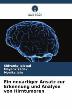 Cover Ein neuartiger Ansatz zur Erkennung und Analyse von Hirntumoren