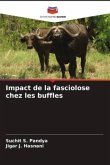 Impact de la fasciolose chez les buffles