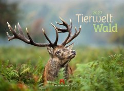 Cover Tierwelt Wald Kalender 2027
