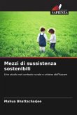Mezzi di sussistenza sostenibili