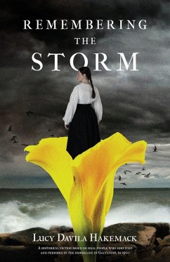 Cover Remembering the Storm