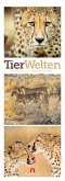 Tierwelten Triplet-Kalender 2027   Artenvielfalt & Lebensräume