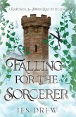 Falling for the Sorcerer Falling for the Sorcerer