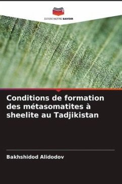 Conditions de formation des métasomatites à sheelite au Tadjikistan - Alidodov, Bakhshidod
