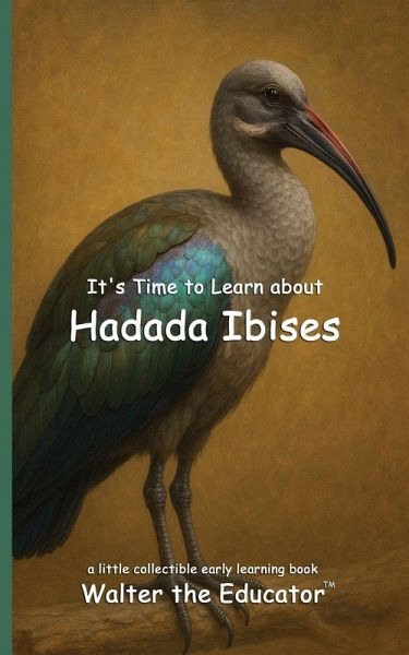 It's Time to Learn about Hadada Ibises It's Time to Learn about Hadada Ibises