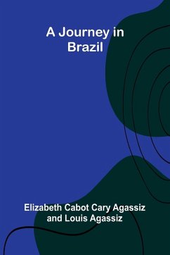 Cover A Journey In Brazil