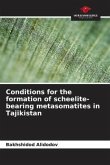Conditions for the formation of scheelite-bearing metasomatites in Tajikistan