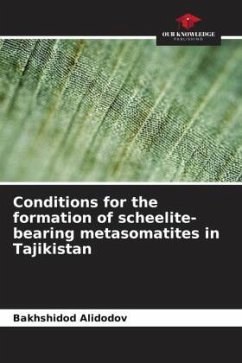 Cover Conditions for the formation of scheelite-bearing metasomatites in Tajikistan