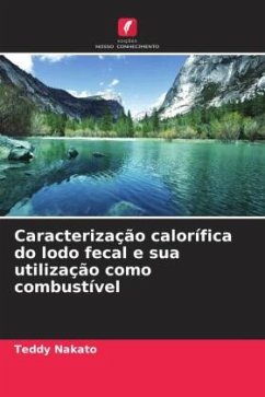 Cover Caracterização calorífica do lodo fecal e sua utilização como combustível