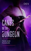 Canes in the Dungeon: Pain and Pleasure (eBook, ePUB)