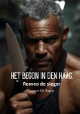 Het begon in Den Haag (eBook, ePUB)