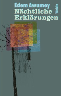 Nächtliche Erklärungen (eBook, ePUB) - Awumey, Edem