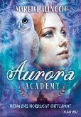 Aurora Academy (Band 2) - Wenn das Nordlicht entflammt (eBook, ePUB)