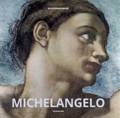 Cover Michelangelo