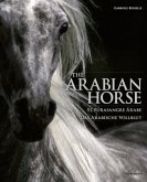 Arabian Horses