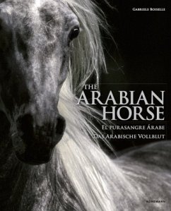 Cover Arabian Horses