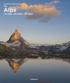 Cover The Alps