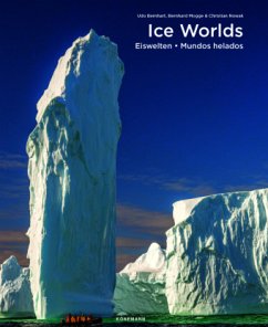 Cover Ice Worlds
