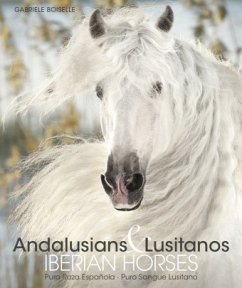 Cover Andalusians & Lusitanos