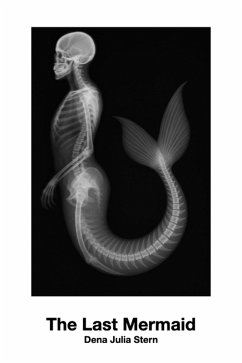 Cover The Last Mermaid (eBook, ePUB)