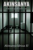 AKINSANYA (eBook, ePUB)