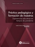 Práctica pedagógica y formación de maestros (eBook, PDF)