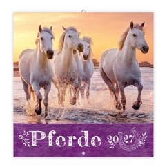 Cover TRÖTSCH - Broschürenkalender Pferde 2027