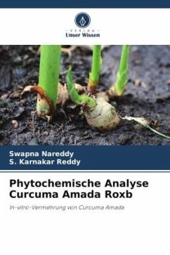 Cover Phytochemische Analyse Curcuma Amada Roxb
