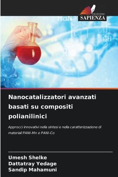 Cover Nanocatalizzatori avanzati basati su compositi polianilinici