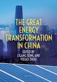The Great Energy Transformation in China