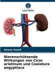 Nierenschützende Wirkungen von Cicer arietinum und Coelatura aegyptiaca Nierenschützende Wirkungen von Cicer arietinum und Coelatura aegyptiaca