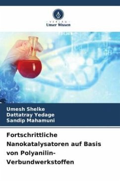 Cover Fortschrittliche Nanokatalysatoren auf Basis von Polyanilin-Verbundwerkstoffen