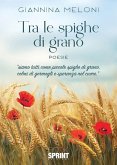 Tra le spighe di grano (eBook, ePUB)