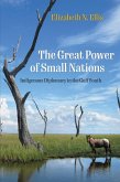 The Great Power of Small Nations (eBook, ePUB)