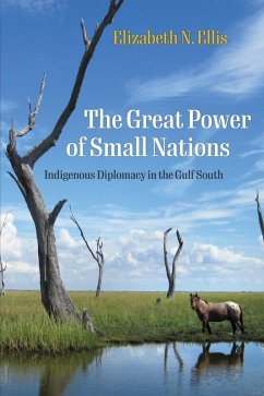 The Great Power of Small Nations (eBook, ePUB) - Ellis, Elizabeth N.