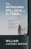 The Intriguing Stillness of the Tides (eBook, ePUB)