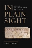 In Plain Sight (eBook, ePUB)