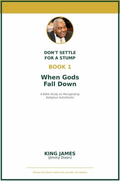 Cover When God's Fall Down (eBook, ePUB)