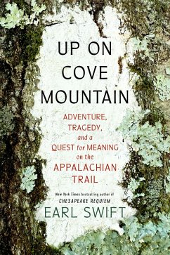 Cover Up on Cove Mountain (eBook, ePUB)